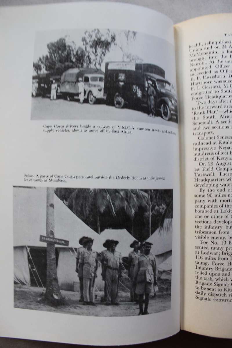 EAST AFRICAN and ABYSSINIAN campaigns -  Neil Orpen