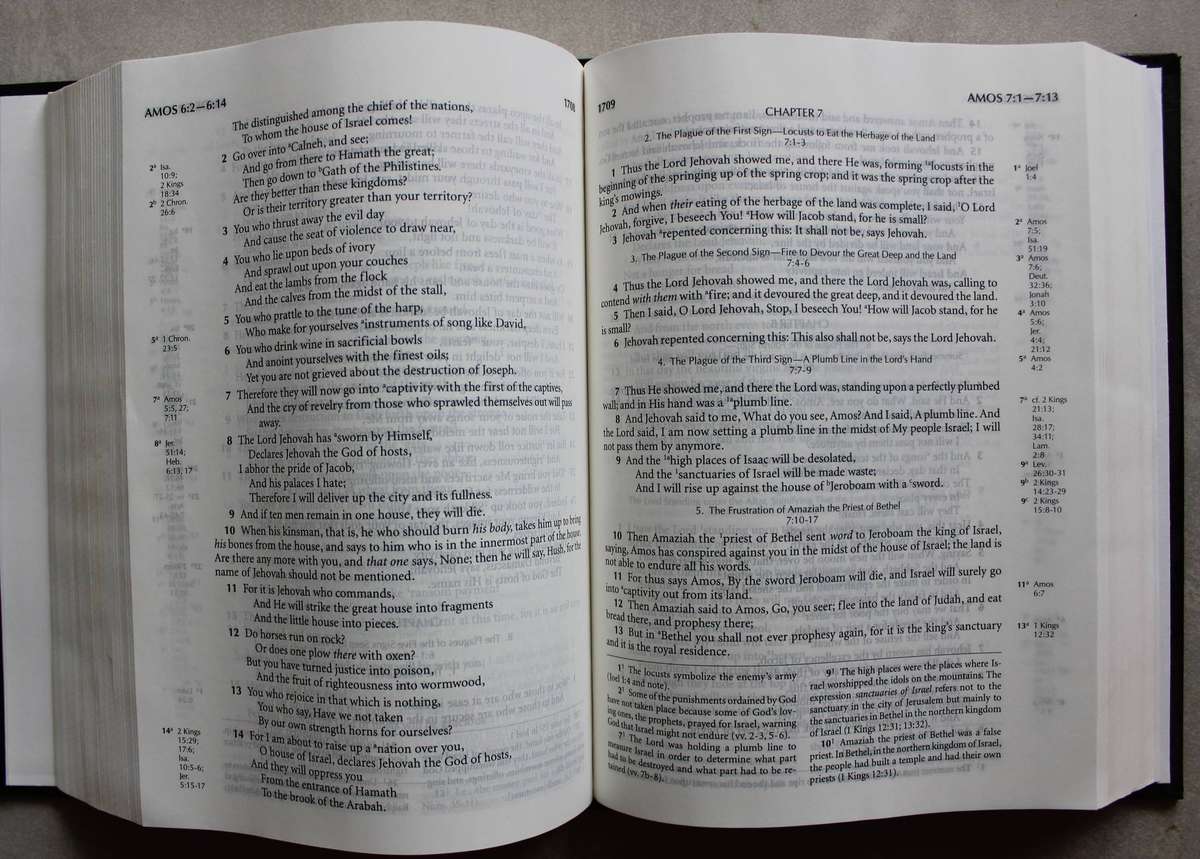 HOLY BIBLE Recovery Version