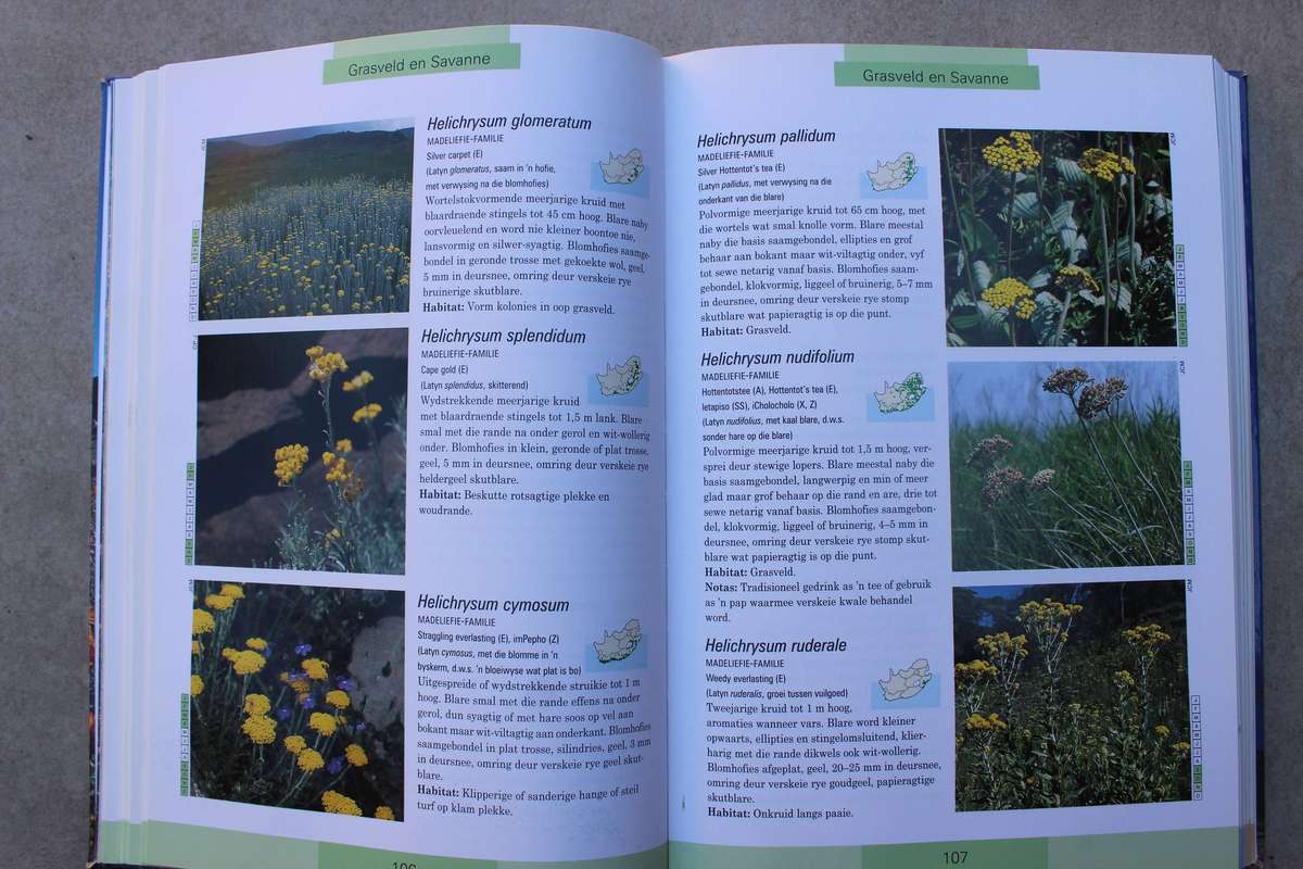 Fotogids tot die Veldblomme van Suid-Afrika / Manning