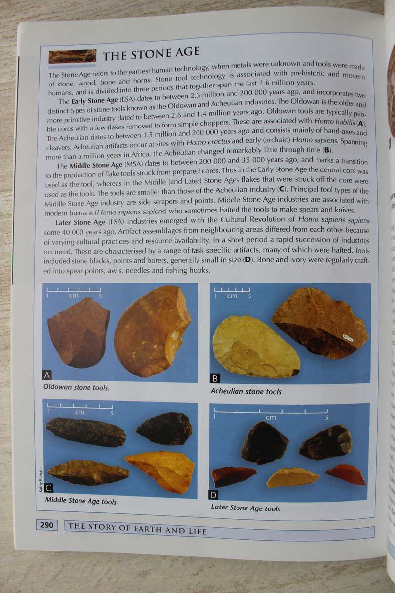 The Story of Earth and Life, A Southern African Perspective by McCarthy and Rubidge