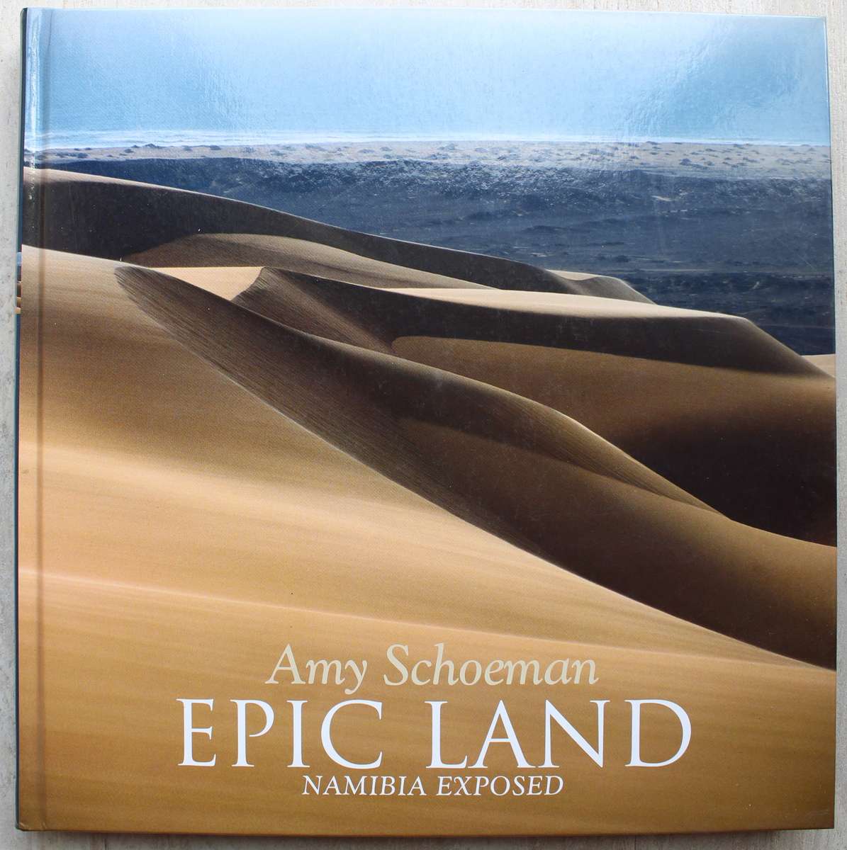 Epic Land - Amy Schoeman