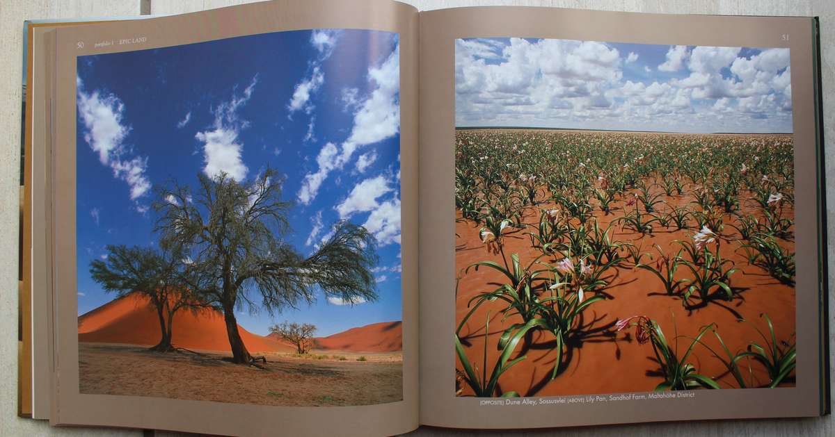 Epic Land - Amy Schoeman