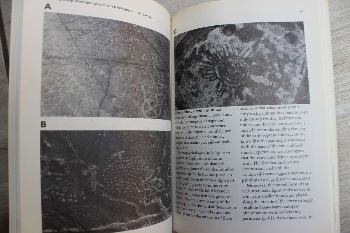 Discovering Southern African Rock Art - J.D. Lewis-Williams