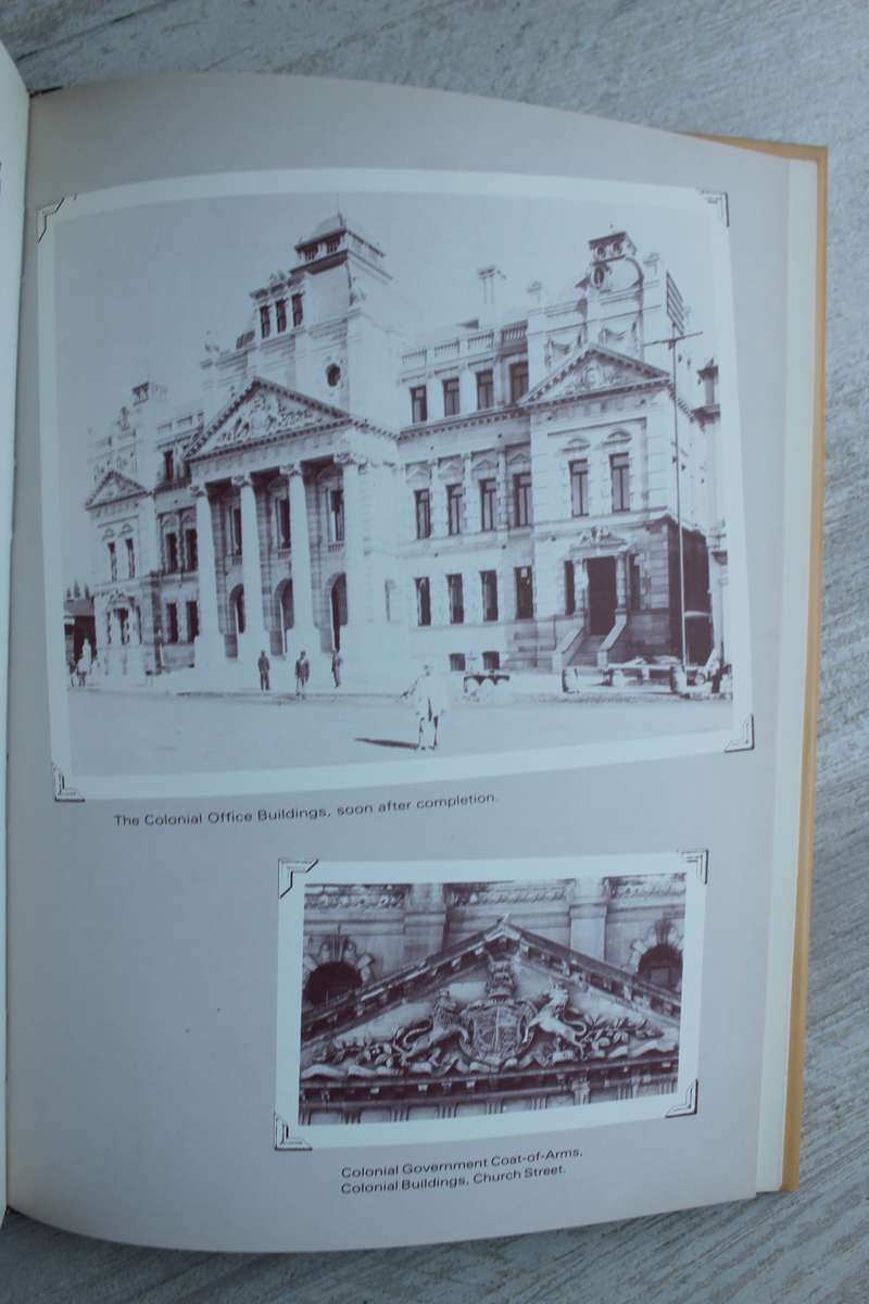 The Place of the Elephant - Gordon, Ruth