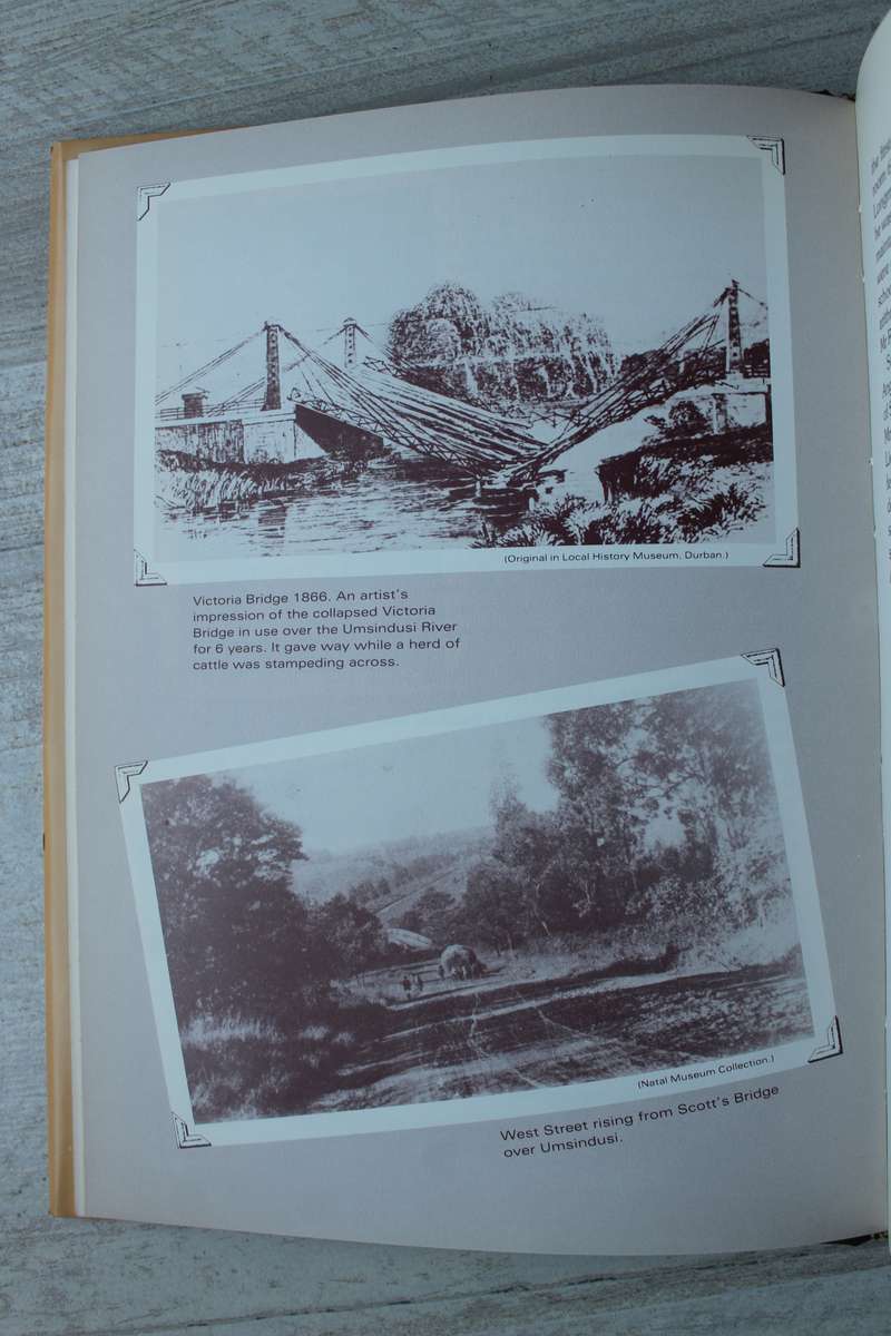 The Place of the Elephant - Gordon, Ruth