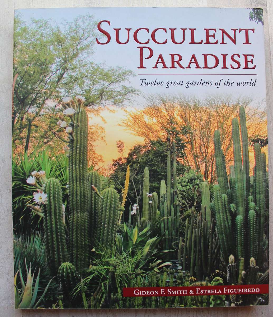 Succulent Paradise - Smith & Figueiredo