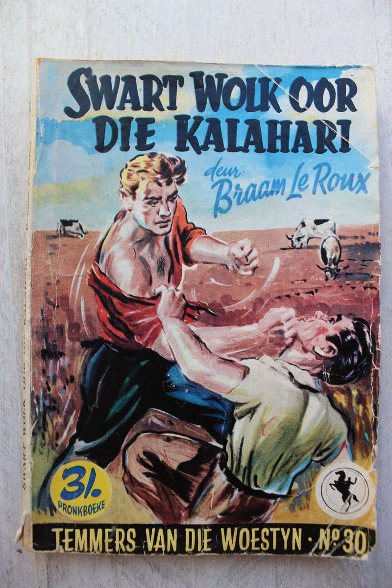 Temmers van die Woestyn 30 - Braam le Roux / Swart wolk oor die Kalahari