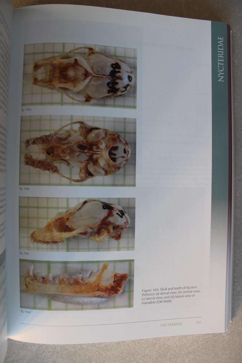 Bats of Southern and Central Africa - Taylor
