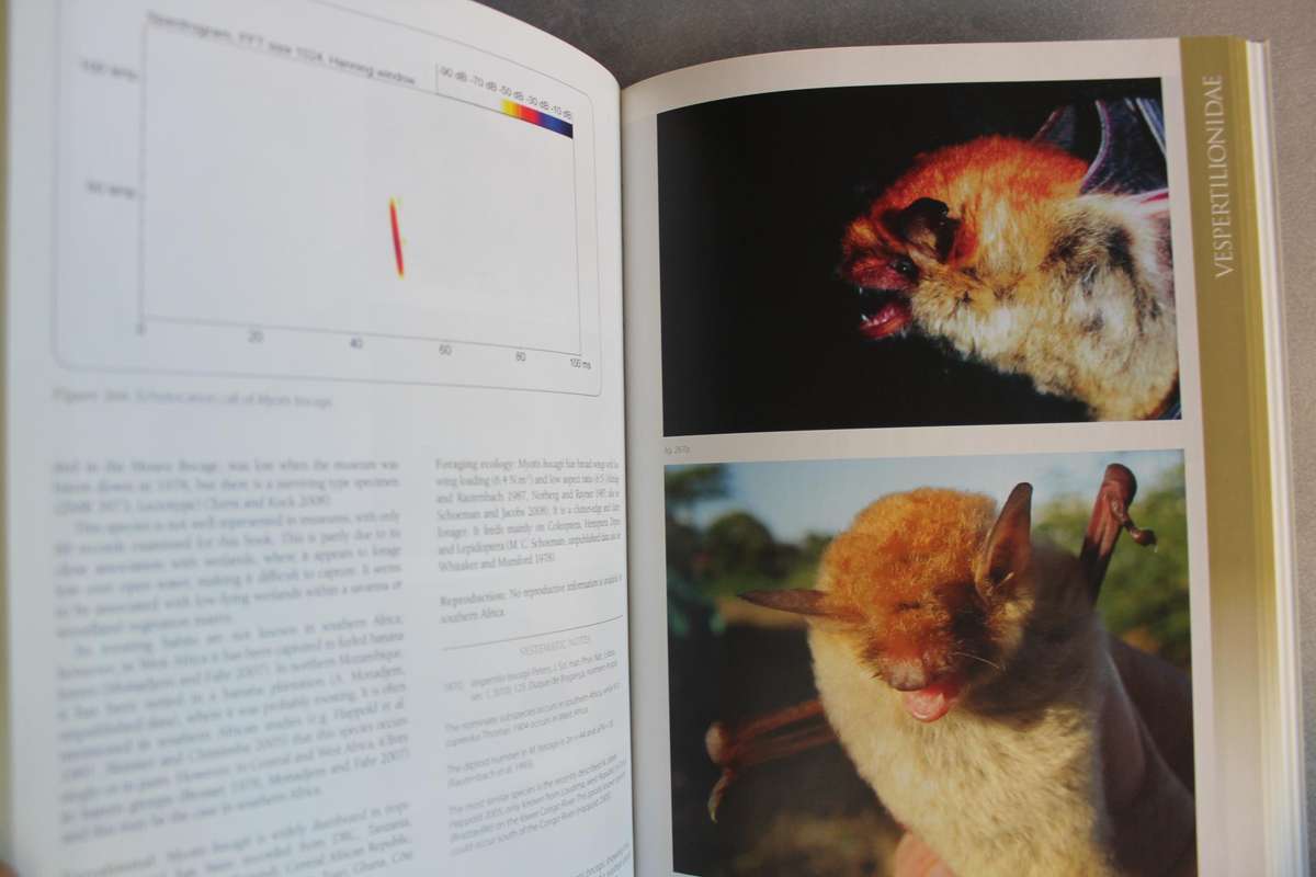 Bats of Southern and Central Africa - Taylor
