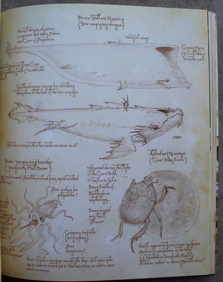 The Last Hero: A Discworld Fable - Terry Pratchett