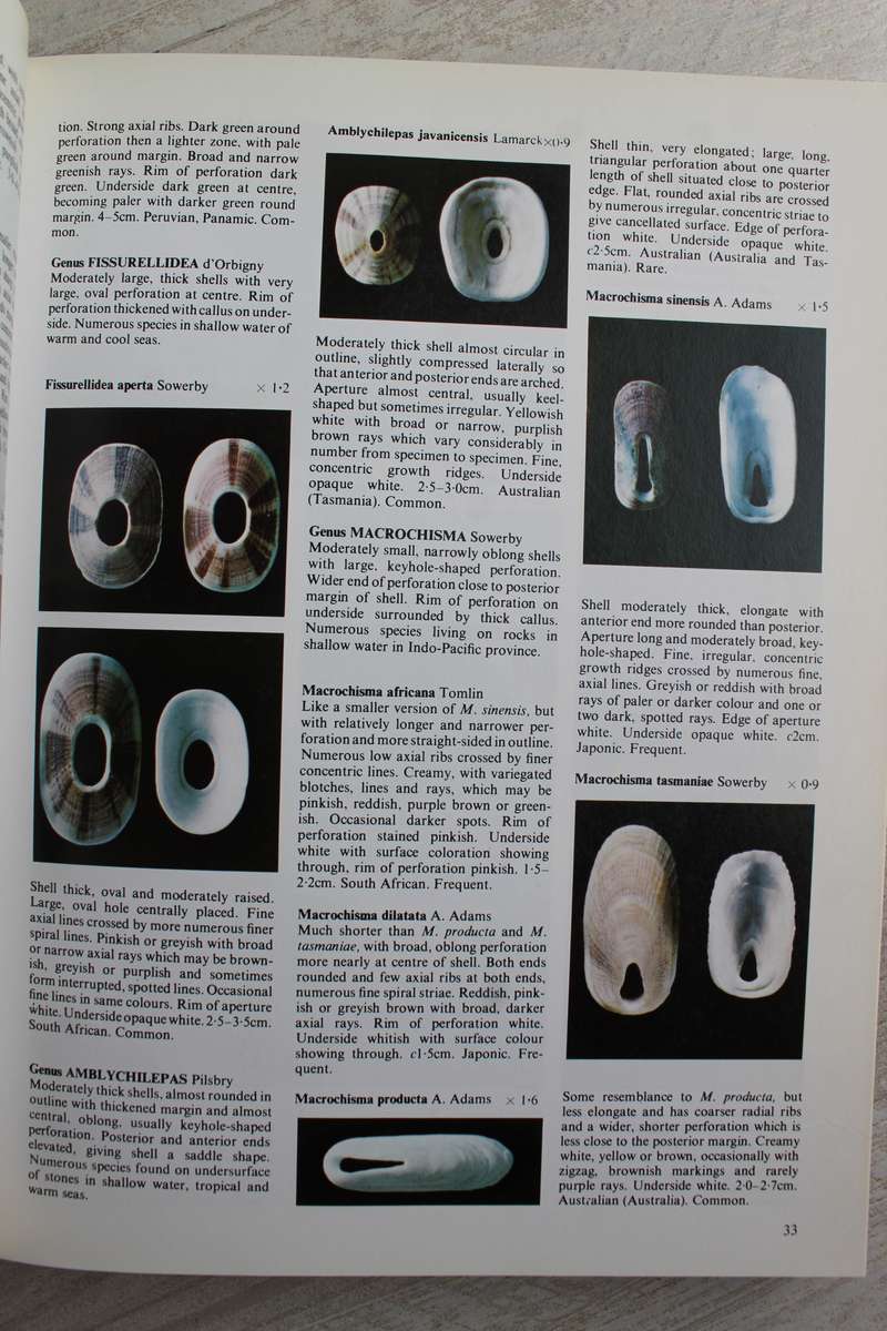 The Collectors Encyclopedia of Shells / Peter Dance