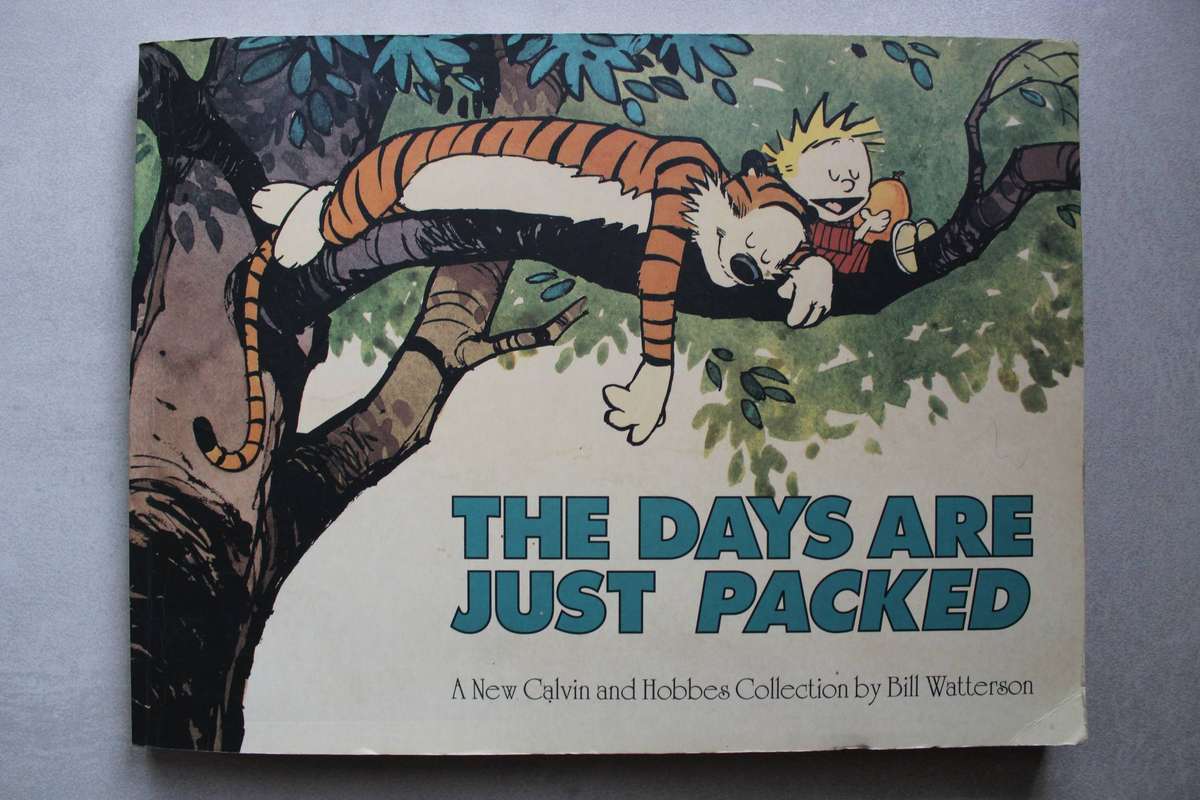 Calvin and Hobbes - The days are just packed