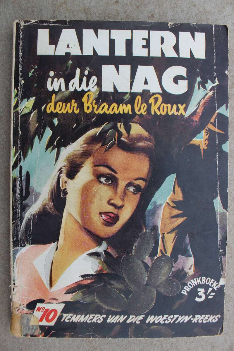 Temmers van die woestyn 10 - Le Roux / Lantern in die nag