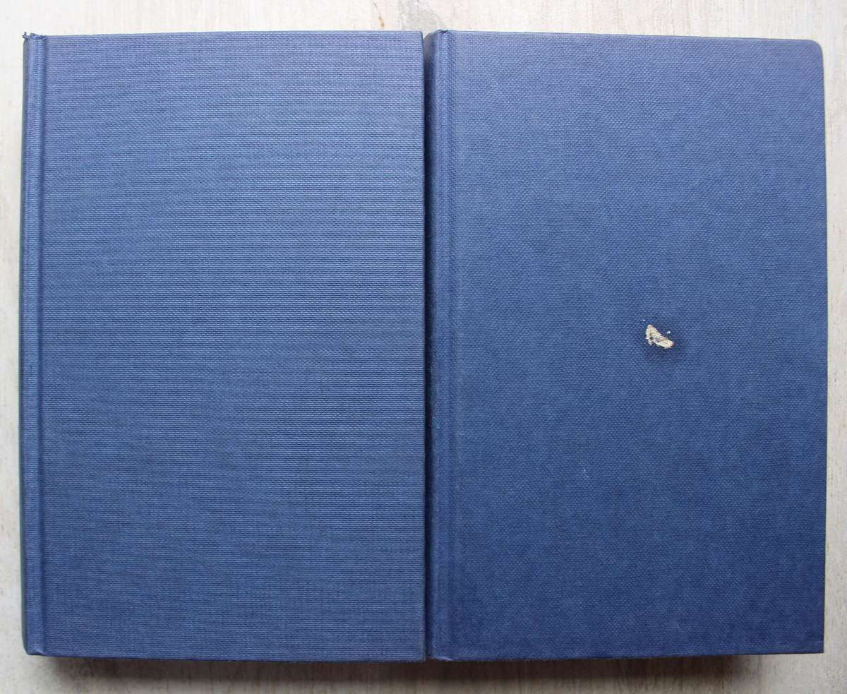 The Gospel according to John / Raymond and Brown