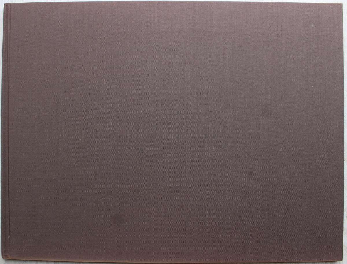 THE MAGNIFICENT SEVEN Paul Bosman Anthony Hall-Martin