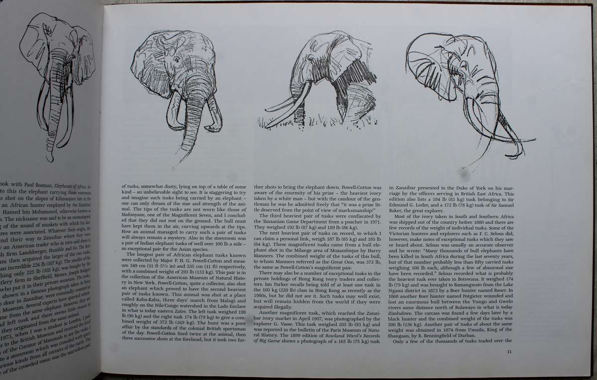 THE MAGNIFICENT SEVEN Paul Bosman Anthony Hall-Martin