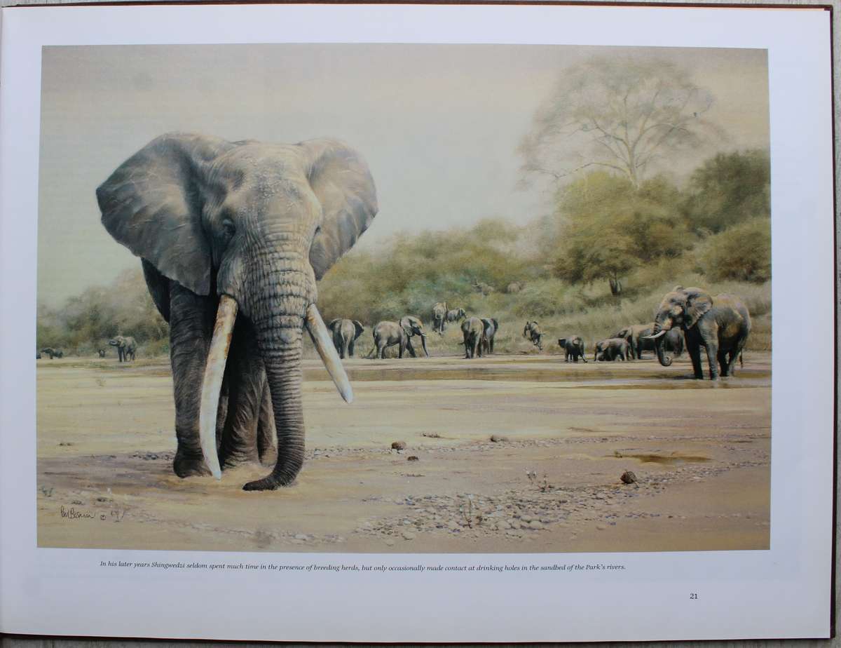 THE MAGNIFICENT SEVEN Paul Bosman Anthony Hall-Martin