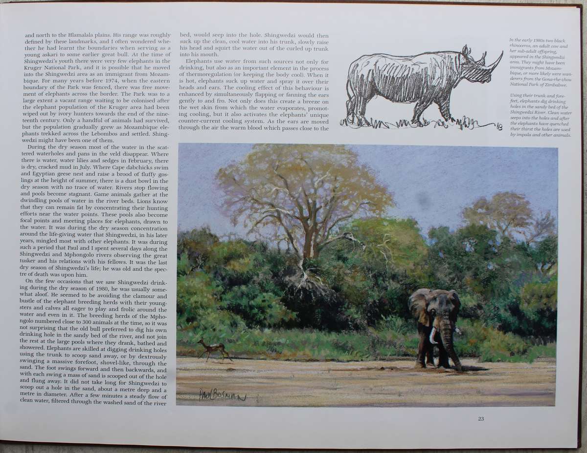 THE MAGNIFICENT SEVEN Paul Bosman Anthony Hall-Martin