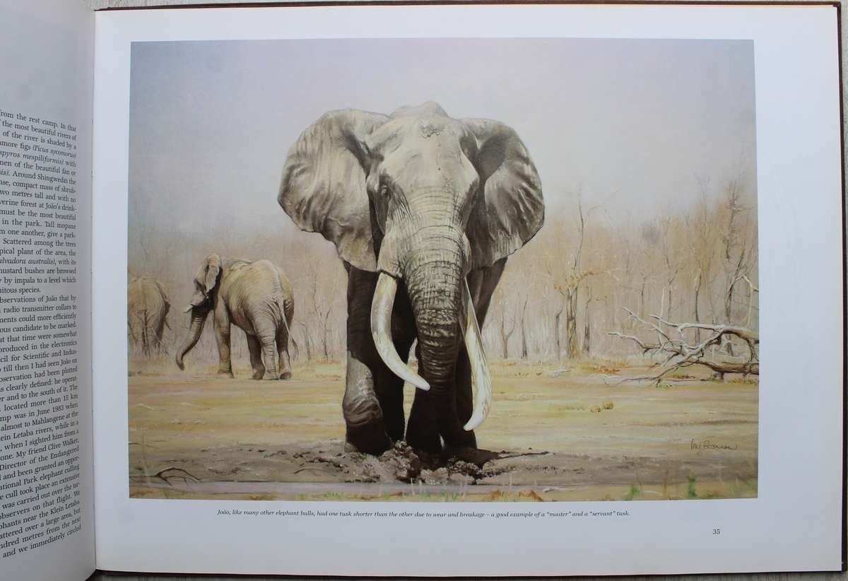 THE MAGNIFICENT SEVEN Paul Bosman Anthony Hall-Martin