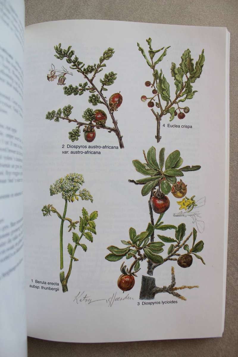 GETEKEN: Karoo Veldblomgids van Suid-Afrika / Shearing & Van Heerden