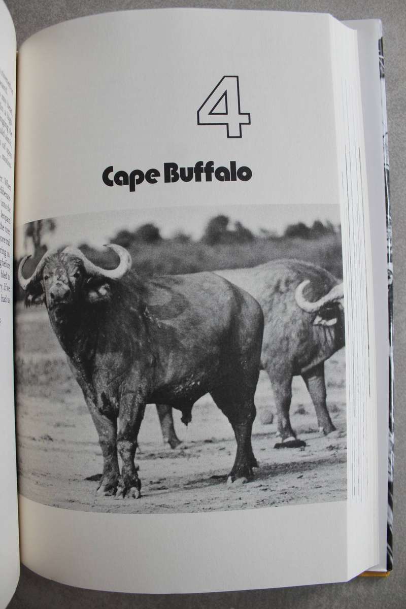 DEATH IN THE LONG GRASS -  PETER HATHAWAY CAPSTICK