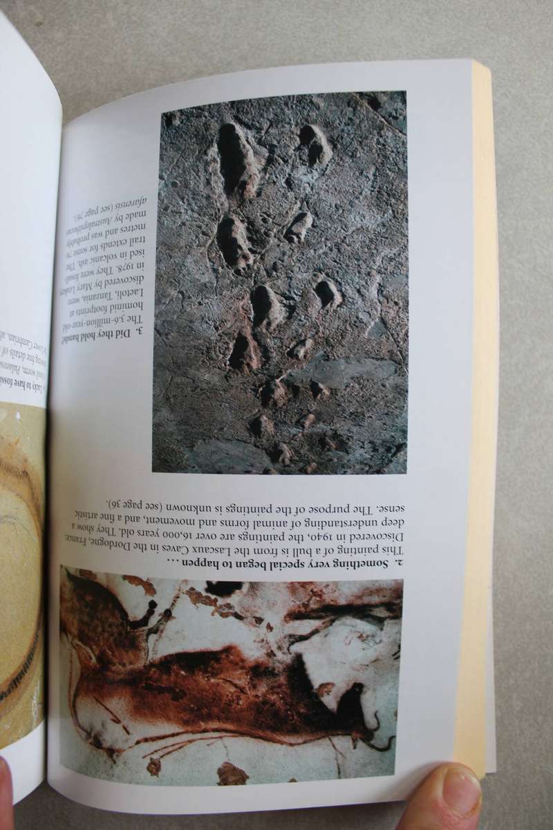 The Ancestor's Tale: A Pilgrimage to the Dawn of Life - Richard Dawkins