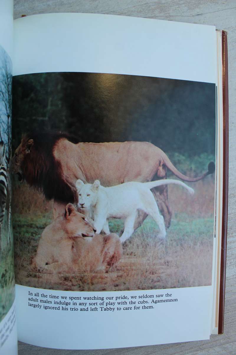 The White Lions of Timbavati - Chris McBride