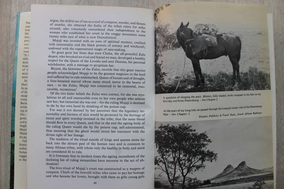 Valley of the Mists - Harry Klein