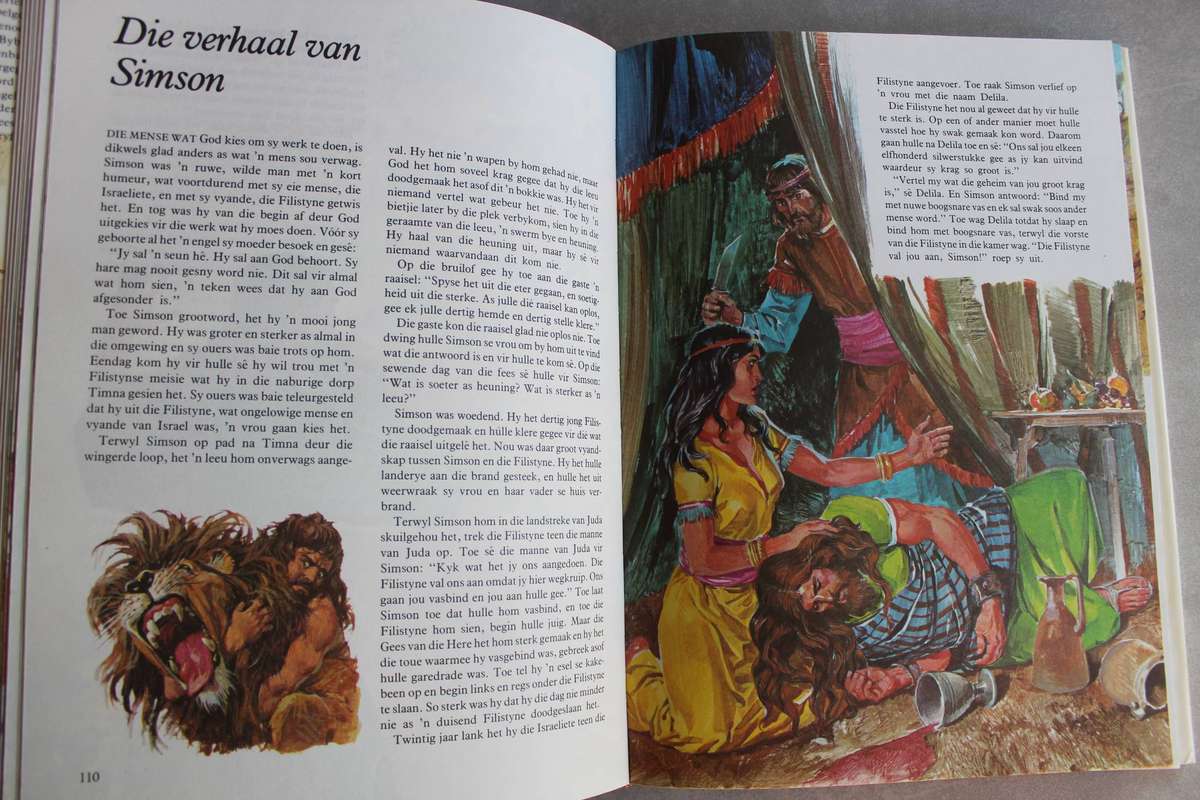 Die Bybel vir Kinders - Illustrasies in volkleur