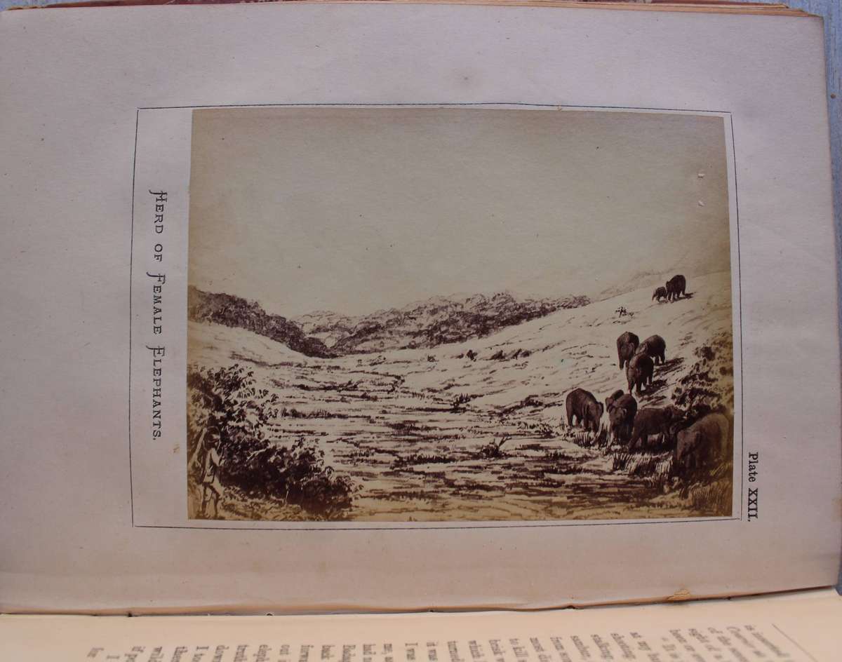 Nilgiri Sporting Reminiscences / An Old Shikarri / Hunting