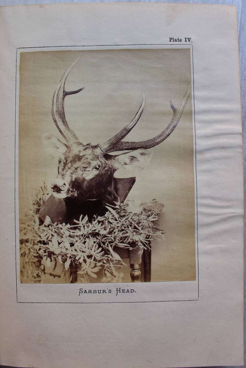 Nilgiri Sporting Reminiscences / An Old Shikarri / Hunting