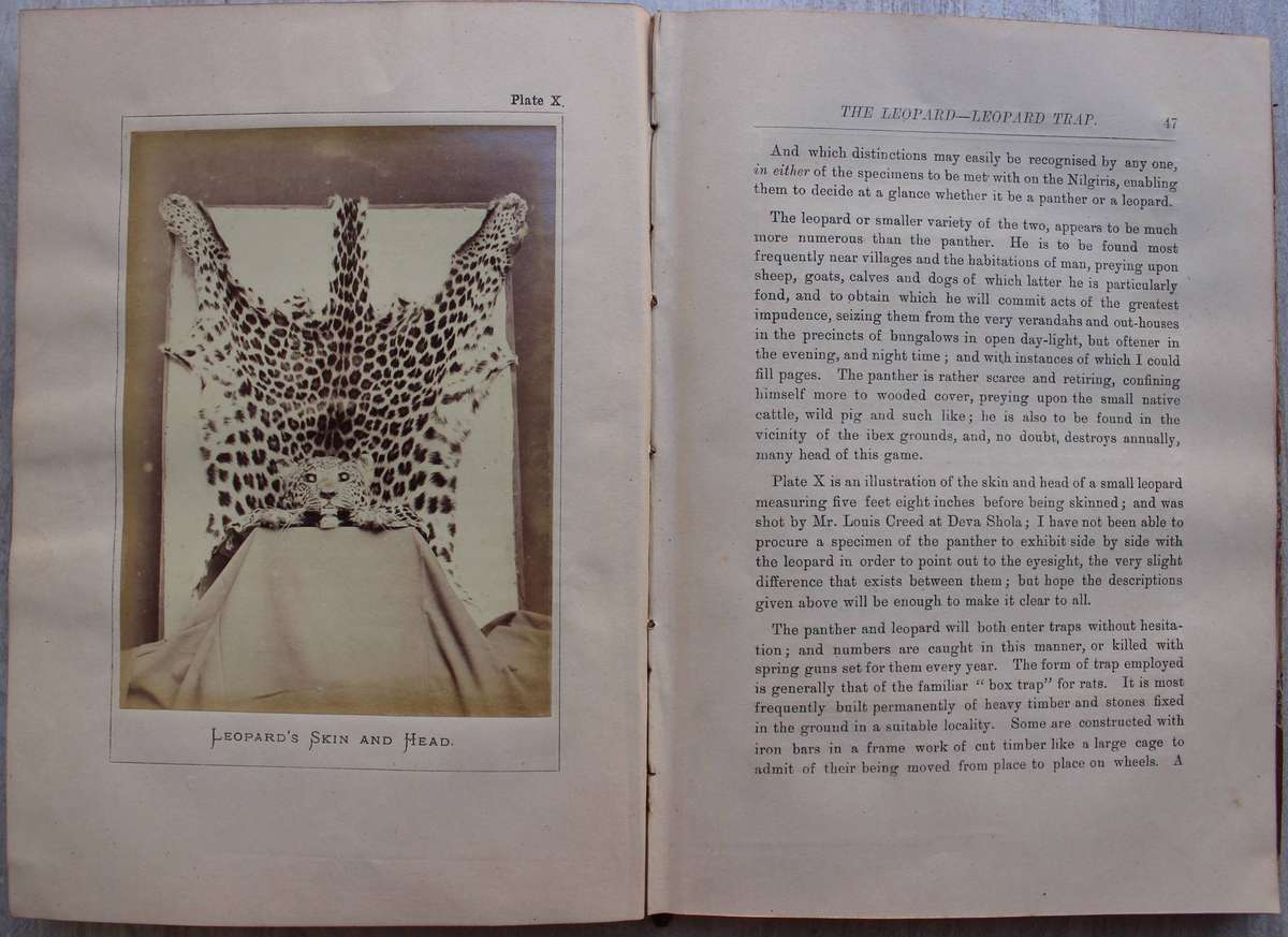 Nilgiri Sporting Reminiscences / An Old Shikarri / Hunting