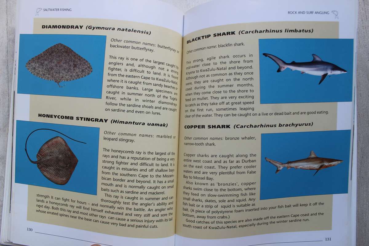 Saltwater Fishing in South Africa - Hennie Crous