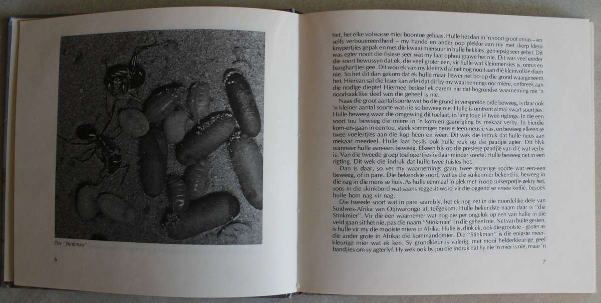 PJ SCHOEMAN - Die Kleinvolk van Afrika