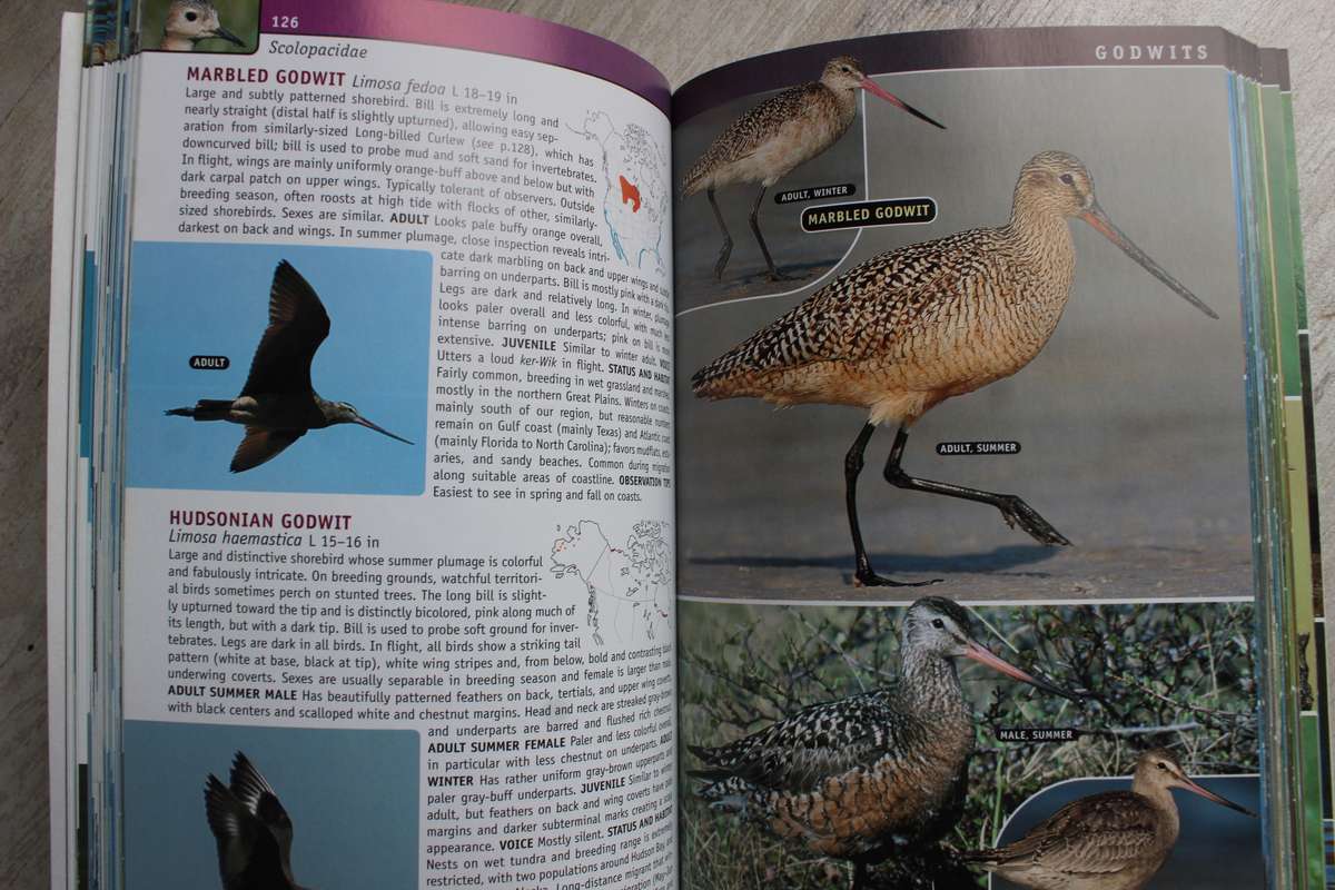 Birds of Eastern North America - A Photographic guide - Sterry & Small