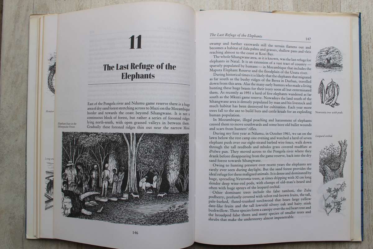 Mashesha, The Making of a Game Ranger /  Tony Pooley