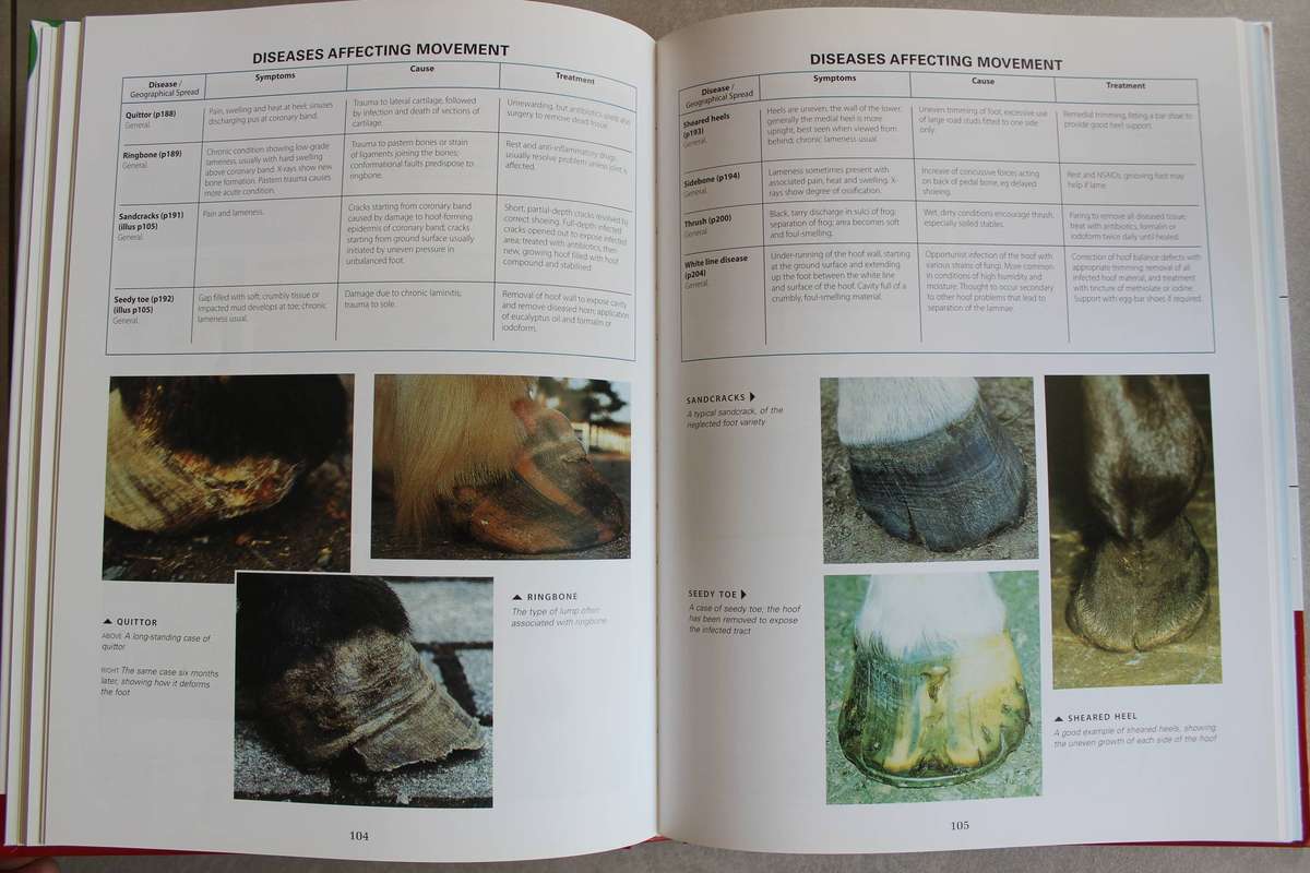 The Complete Equine Veterinary Manual / Pavord