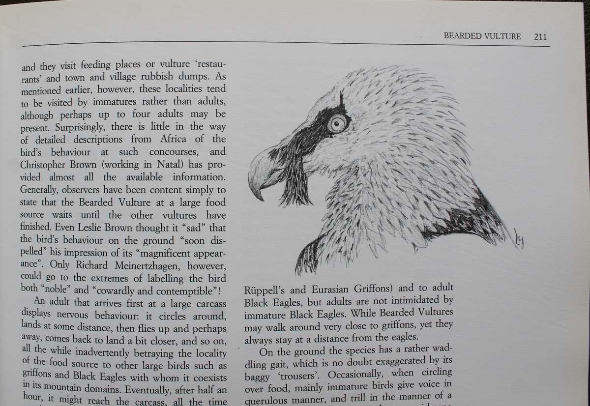 SIGNED - The Vultures of Africa by Peter Mundy, Duncan Butchart, John Ledger and Steven Piper