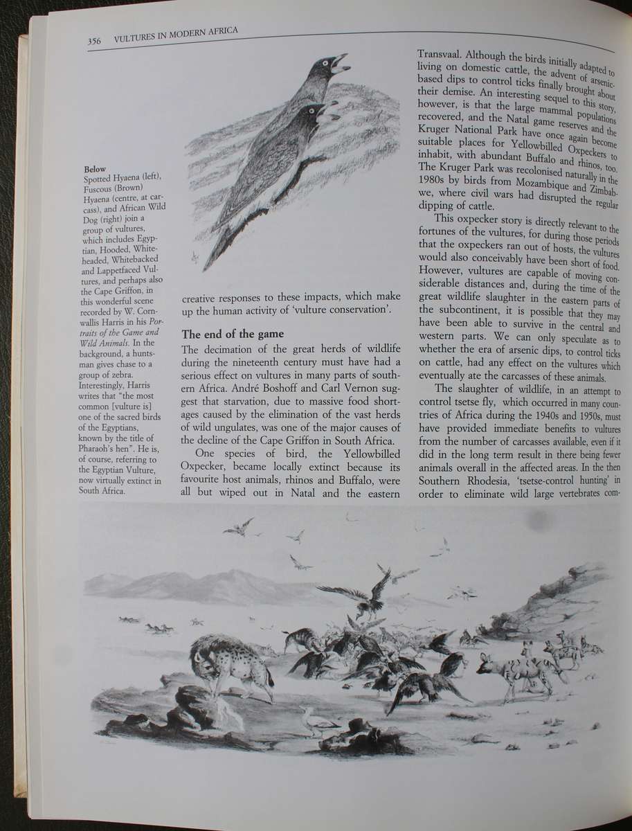 SIGNED - The Vultures of Africa by Peter Mundy, Duncan Butchart, John Ledger and Steven Piper