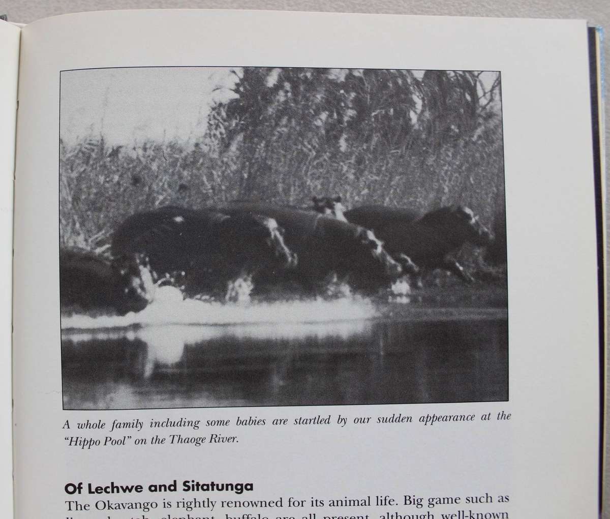 An Okavango Season : Malcome Meintjes **Signed Copy **