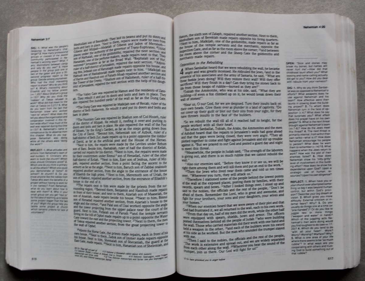 The NIV Serendipity Bible for study groups