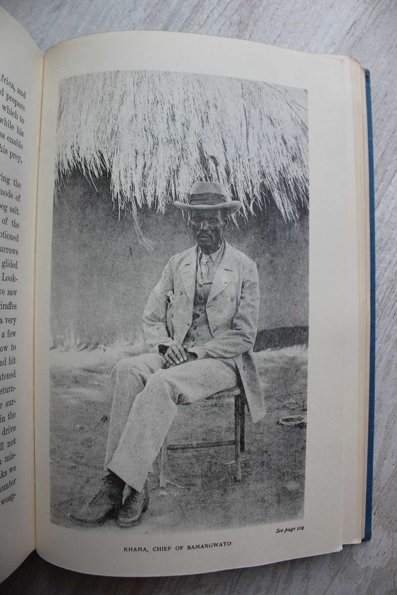 Reality Versus Romance in South Central Africa - James Johnston