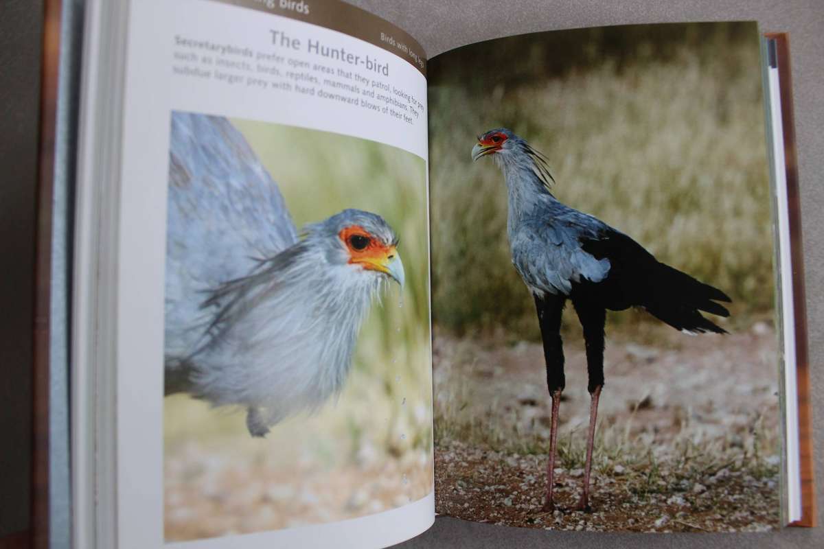 KRUGER BIRDS SAFARI GUIDE - VAN DEN BERG