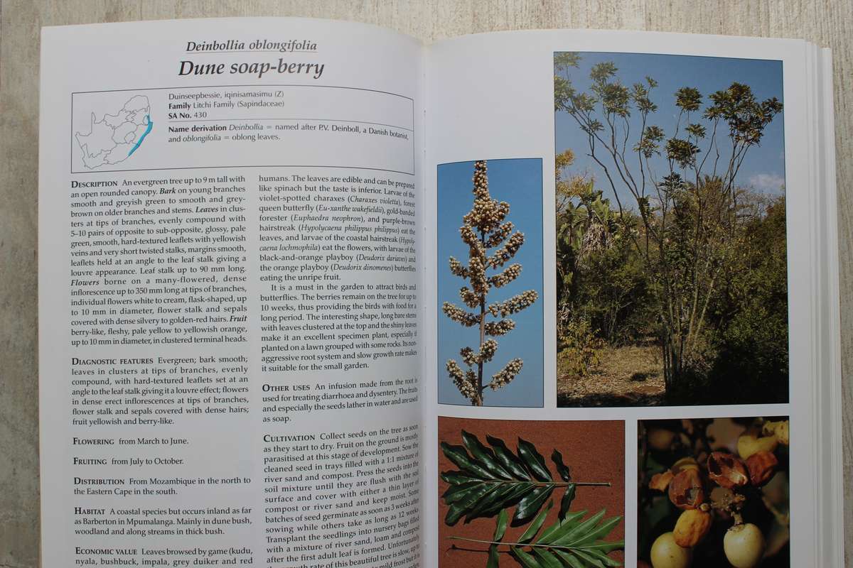 Making the most of Indigenous Trees - Fanie & Julye-Ann Venter