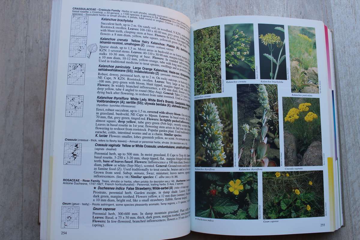 A Field Guide to Wild Flowers Kwazulu Natal & Eastern Region -  Elsa Pooley