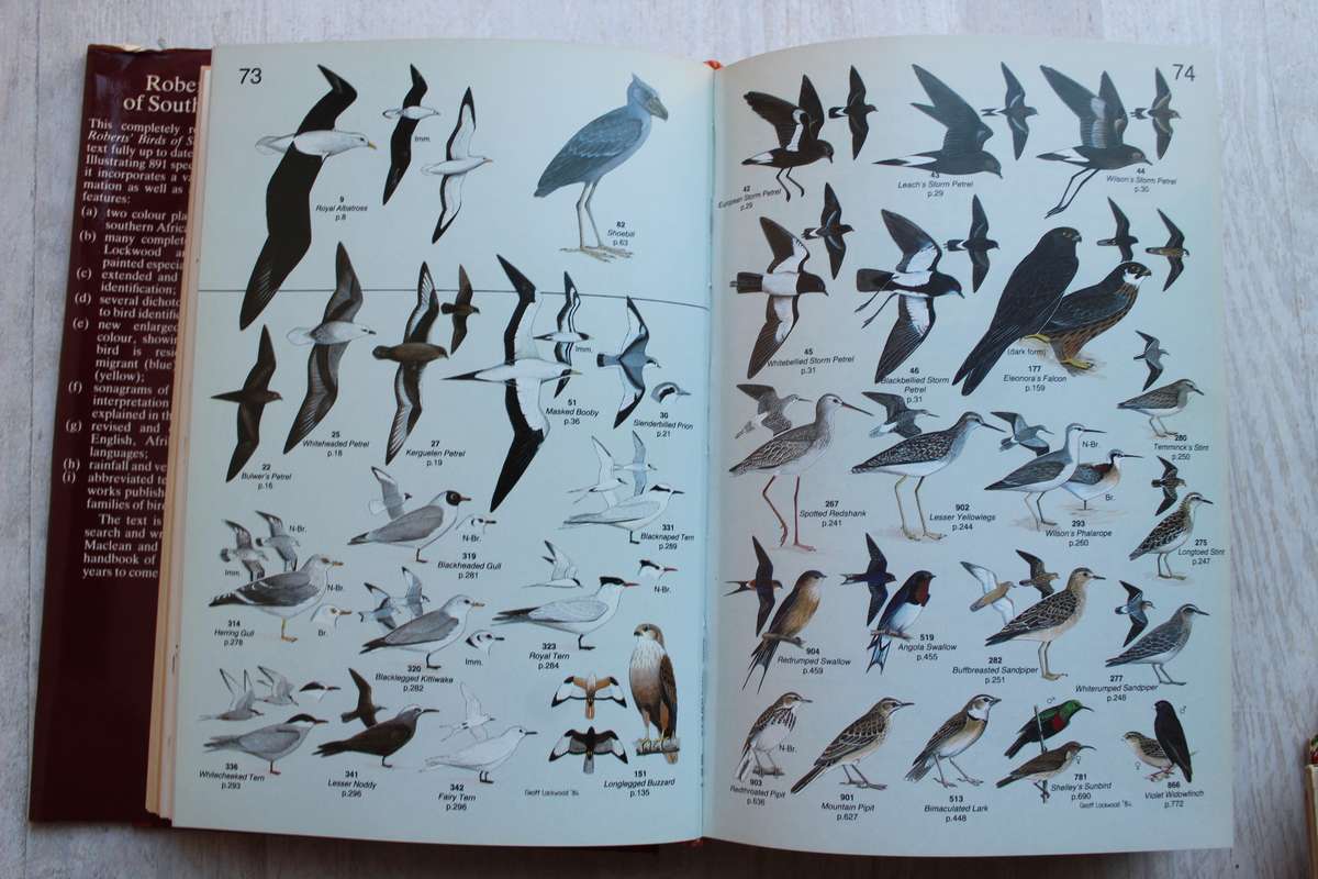 Roberts' Birds of Southern Africa - Maclean