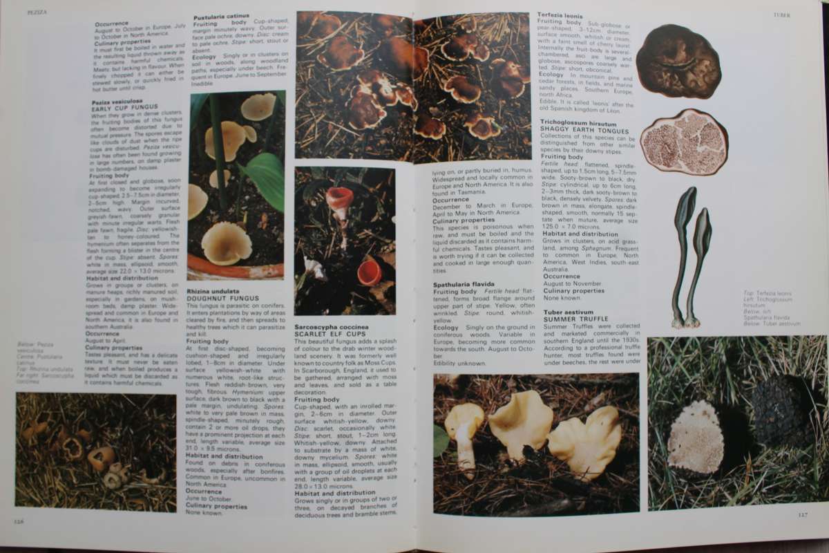 The Encyclopedia of Mushrooms - Dickinson & Lucas