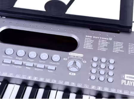 Big 61 key electronic piano