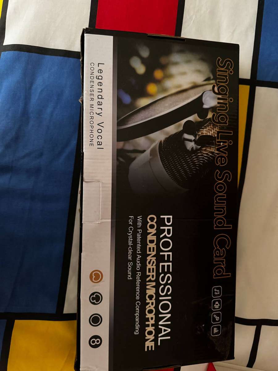 Professional condenser microphone
