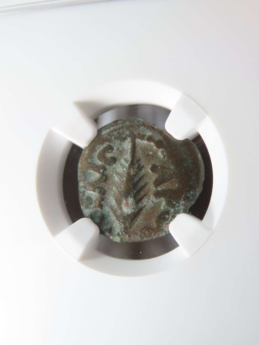 Ancient Judaea Prutah Coin, 59 - 62 AD, Governor Porcius Festus Under Nero, Coins of the Bible